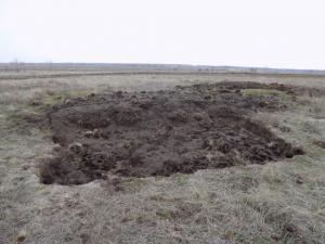 1.thumb.JPG.3072d5f5fe63dd1864f5dfb9f3d0