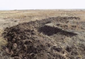 1.thumb.jpg.5630e5a462ac77bbb2ae6b6d1469