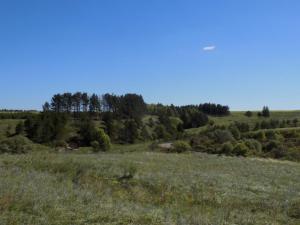 10.thumb.JPG.4256f32c742eb622197562b8123