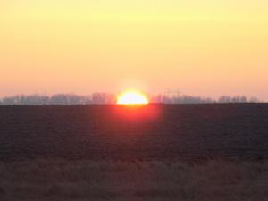 10.thumb.JPG.80ee4ca4666f55a4ff66e2fe0e8