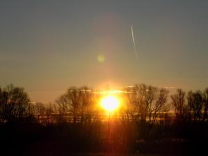 10.thumb.JPG.925b246ad9a4cd39acdfd00ae78