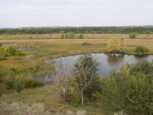 11.thumb.JPG.a90356f4d6760892d17626273ef