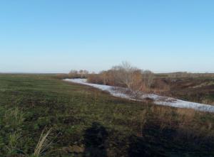 11.thumb.jpg.8ab1a685d65b8c545b8ef1930c0