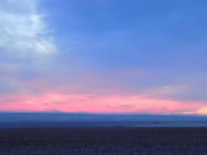 12.thumb.JPG.74178c64912a88047161e2a79f1