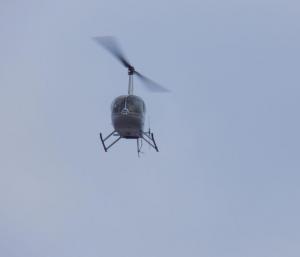 12.thumb.jpg.88cf05d5e907674e2a320737960