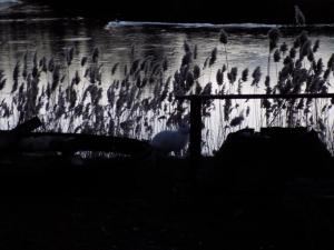 14.thumb.JPG.c88266424680ce39d766c1f114c