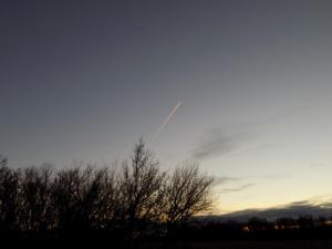 15.thumb.JPG.cefae65280ce857ccedc3894112