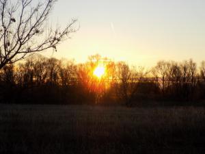 16.thumb.JPG.e4d4ce8e265382ea4f6b2b1fdfd