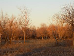 17.thumb.JPG.24a21a73dafe3bbb82d78cd7bb6