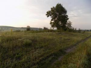 2.thumb.JPG.68f143e01d26216751170afd4e21