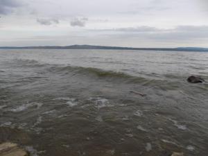 2.thumb.JPG.d3327cc0879d76936bcb5bffbc31