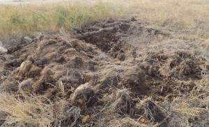 2.thumb.jpg.0e7342785ff543901104f4da7176