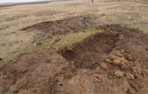 2.thumb.jpg.e1b7c8578979b43b2b2834ff121e