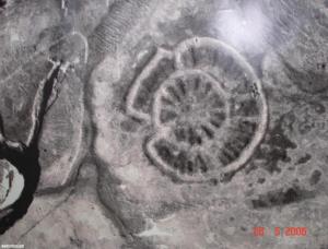 227405856.thumb.jpg.cada1fbca26e113db387