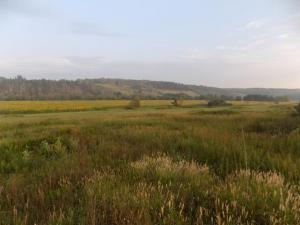 3.thumb.JPG.4b2bc9d87e533cd673a46d4bbe04