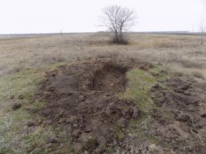 3.thumb.JPG.578d2fb4dcc27e1b9a4ca3b2f375