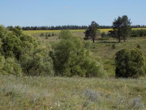 3.thumb.JPG.8ddfbbcfff7916cefa6867eed220