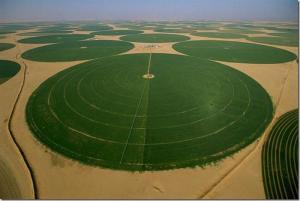 38512782_600.thumb.jpg.ca3c202c77d8f513e