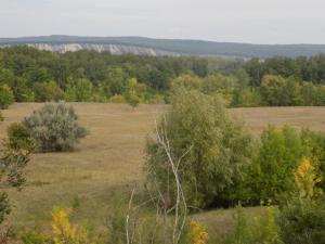 4.thumb.JPG.3b0102bc0c64bcea1f4ddb3eefdf