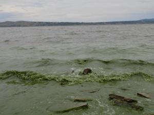 4.thumb.JPG.c25f0fab17b39f878a4e0d61772f