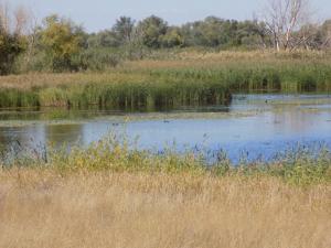 4.thumb.JPG.fe41184787983b30667318a23204