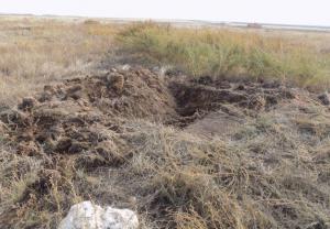 4.thumb.jpg.b6af733b4221bf87609104bde32f