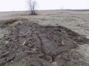 4.thumb.jpg.ea343de025ed14018602276fb4a1