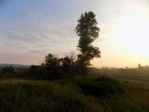 5.thumb.JPG.81460100b8105d9f10e28a2ce0ba