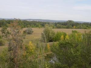 5.thumb.JPG.dccea62fae25dbeb89f2dd60bd9c