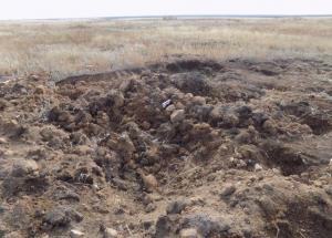 5.thumb.jpg.c2dde938b765fea2d05e12215bf8