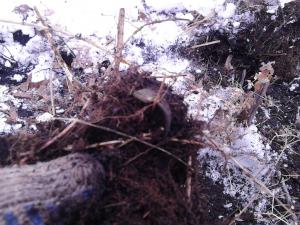 56b5b3db78a7c_25.thumb.jpg.6fefe9a1f9702