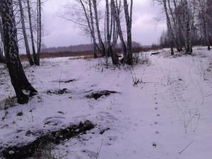 56b6487090983_64.thumb.jpg.d328d4045a2e1