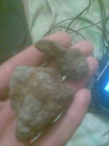 Фото егора003.jpg