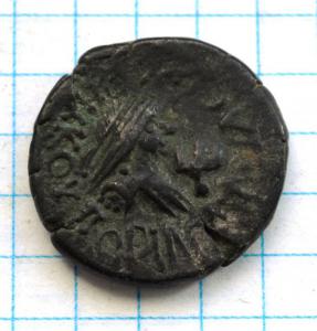 DSC_2899 (Custom).JPG