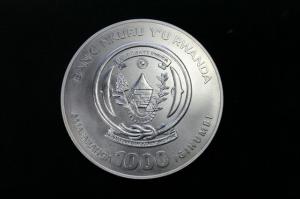 IMG_2504_новый размер.JPG