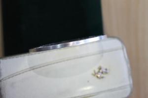 IMG_2505_новый размер.JPG