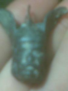 Фото егора000.jpg