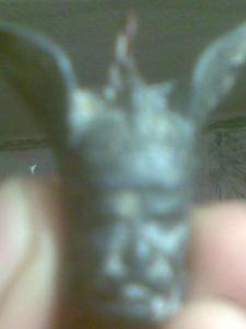 Фото егора002.jpg