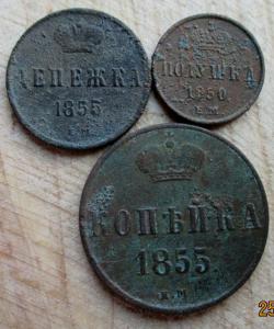 коп пол ден б.JPG