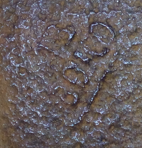 56d186ce972bd_.thumb.png.6a9eb91256d826b