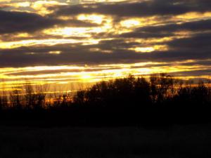 8.thumb.JPG.6add42da69143f549a62525ed64b