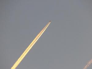 9.thumb.JPG.631c426e23fbf2b17e594d7d1330