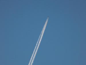 9.thumb.JPG.db114d35bf0331815bd4dbb7aef3