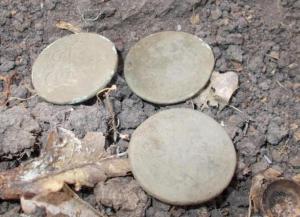 DSCN0199.thumb.JPG.507f20ff7da7ab922236a