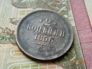 DSCN3784.thumb.JPG.3c31faacacdfcbac30617