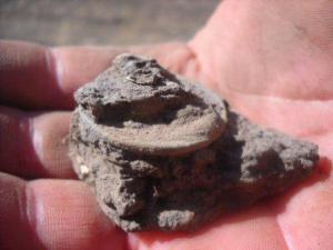 DSCN6490.thumb.JPG.6bfad22e6afb3d4a9e6ed