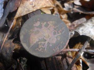 DSCN7944.thumb.JPG.546edbe52fe031ba9c434