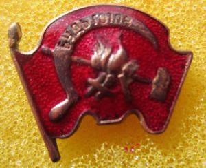 IMG_0351.thumb.JPG.6b253c40c2b048f7be639