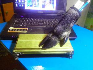 IMG_20160131_184010.thumb.jpg.36aa0bcb7f