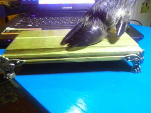 IMG_20160131_184024.thumb.jpg.b1601933c6